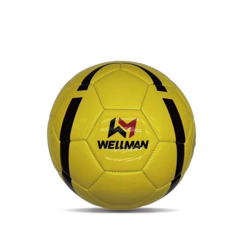 Matibay na laki ng PVC 4 Kabataan Soccer Ball Print Logo Training Football Ball para sa mga bata at matatanda